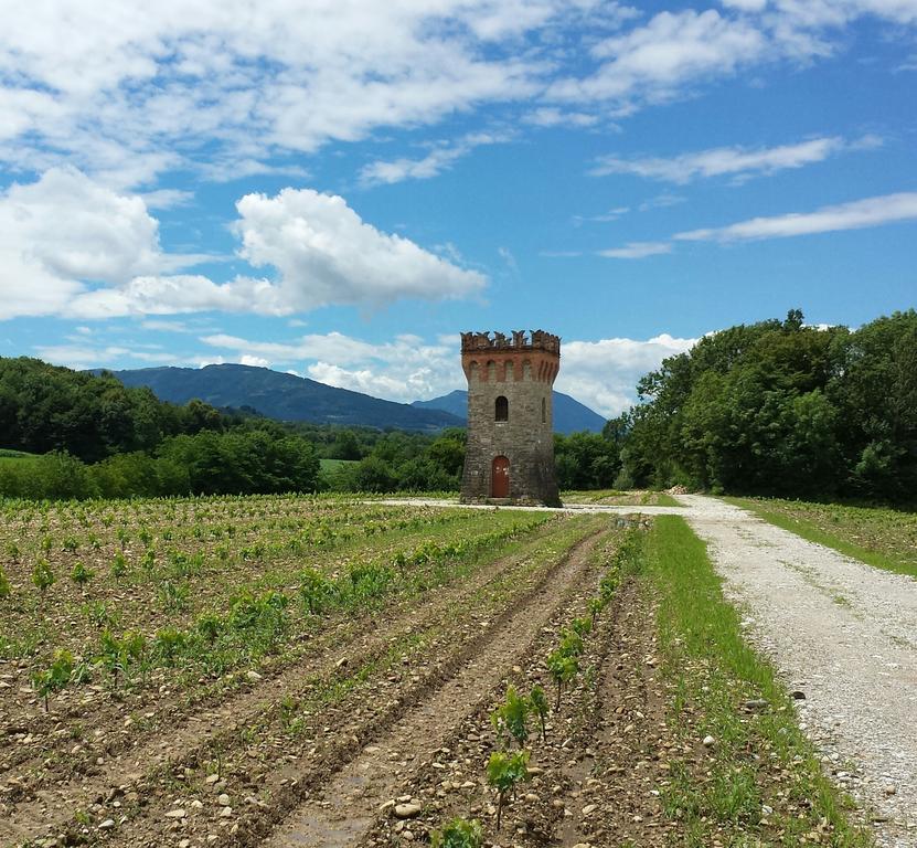 Agriturismo Casteldardo Pension Trichiana Buitenkant foto